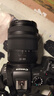 佳能rf24-105镜头 专微全画幅拆机镜头打鸟银圈“狗头” 扫街镜头适用EOS R RP R5 R6 RF24-105mm F4-7.1 IS STM拆 标配【不含滤镜，建议购买套餐】 实拍图