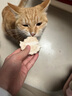 麦富迪全价猫狗通用冻干宠物月饼 月饼20g（10g*2） 实拍图
