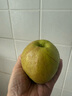 梨贡士隰县梨园 山西隰县玉露香梨 临汾馆玉露香梨脆甜多汁梨子特产 15颗中大果（9斤装） 实拍图