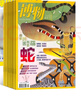博物+环球少年地理KiDS两刊组合全年订阅 2026年3月起订阅 组合共24期 杂志铺 青少年版科普百科全书 中国国家地理青春版益智期刊 中小学生课外阅读 少儿阅读儿童科普读物 博物君 实拍图