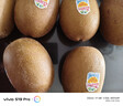 佳沛（zespri）新西兰  阳光金奇异果10粒礼盒巨大果单果约144-175g 水果 猕猴桃 实拍图