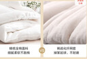 京东京造100%天然新疆棉花被 纯棉被芯双人被子 春秋被4.6斤2x2.3m 实拍图