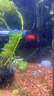 森森（SUNSUN）鱼缸加热棒自动恒温水族箱防爆加热器鱼缸水族用品 高硼硅玻璃50W(18cm长) 实拍图