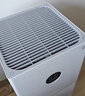 米家小米空气净化器4lite 家用除甲醛除异味PM2.5轻音设计LED显示屏智能控制小巧不占地七夕节礼物推荐 米家空气净化器 4 lite 实拍图