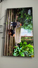 小米（MI）电视S85 Mini LED 85英寸 640分区 1200nits 240Hz 澎湃OS 一级能效 L85MA-SPL 国家补贴以旧换新 实拍图