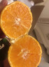 京鲜生 爱媛果冻橙 净重5斤 单果130g起 生鲜水果桔子礼盒 实拍图