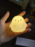 韩版可爱小鸡小夜灯卧室装饰品发光玩具幼儿园儿童生日分享小礼物 小鸡仔/白色 实拍图