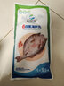 仙泉湖三去白蕉海鲈鱼1斤/条净膛冷冻刺少肉厚珠海特产500g生鲜食材 实拍图