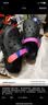 斯凯奇（Skechers）女鞋洞洞鞋凉鞋增高厚底耐磨沙滩拖鞋小怪兽包头洞洞鞋111581 白色/多彩色/WMLT 38 实拍图