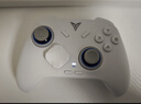 飞智冰原狼4多模版无线游戏手柄 类xbox 力调节摇杆双切扳机 switch电脑PC手机steam体感NS 丝之歌 实拍图
