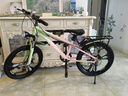 飞鸽青少年自行车6-12-18岁男女学生中大儿童越野山地车粉绿22寸变速 晒单实拍图