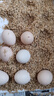 芮瑞 农家正宗土鸡蛋山林散养草鸡蛋 现发柴鸡蛋 40±5g/枚 30枚 实拍图