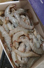 卖鱼郎先生青岛盐冻大虾净重3.6斤 20-25只/斤 白虾基围虾生鲜 虾类 实拍图