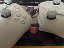 飞智冰原狼3  多模版无线游戏手柄 类xbox杠杆霍尔摇杆switch电脑PC手机steam体感NS 实拍图