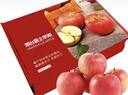 京鲜生 山东栖霞红富士苹果精品12粒 单果190g-240g  水果礼盒 实拍图