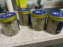 北海印象干贝瑶柱淡干海鲜海产干货扇贝肉煲汤煮粥中秋节送礼礼品礼盒团购 大号干贝瑶柱 1000g * 1盒 高端礼盒 实拍图