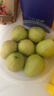 京觅福建红心芭乐 番石榴 应季 低糖孕妇水果 单果150g 净重3斤装 实拍图
