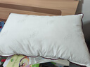 水星家纺枕头枕芯酒店枕头护颈枕头芯家用单个纯棉抗菌可水洗中枕48x74cm 实拍图