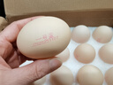 1号会员店可生食鸡蛋30枚净重3.6斤精选大码蛋礼盒装 源头直发 实拍图