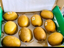 佳沛（zespri）新西兰阳光金奇异果 8个装 特大果单果重约122-146g 水果猕猴桃 实拍图
