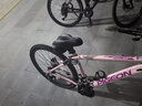 飞鸽（FLYING PIGEON）山地自行车成人男女变速山地车青少年中小学生车越野户外骑行单车 【高碳钢】G8002代-辐条轮-粉色 26寸轮组（适合160-180cm） 21速入门版 实拍图