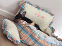 曼乐兔狗窝四季通用可拆洗夏季狗狗睡垫小型犬比熊宠物狗床小狗睡觉垫子 邦迪蓝S（45*35*26cm） （含枕头）四季通用/深睡好眠 实拍图