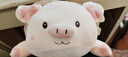 捉趣（ZHUOQU）可爱小猪玩偶毛绒玩具女孩趴趴猪公仔娃娃安抚陪伴抱枕520女礼物 bobo猪呆萌款【一只】 40cm 实拍图