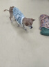 派乐特狗狗衣服可牵引猫咪衣服秋冬新款小型猫犬宠物通用加绒保暖衣服M 实拍图