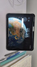 Apple/苹果 iPad11英寸 A16芯片2025年款 平板电脑 (256GB WLAN版/学习办公娱乐)蓝色 实拍图
