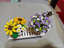 俐智（Loz）积木花拼装模型拼插永生花束送女友情人节生日礼物1674浮光初夏 实拍图