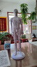 中医针灸穴位人体模型十二经络图穴位模型全身小皮人硅胶可扎针小铜皮人数字刻度彩硬质60cm男臂可转数字刻度 实拍图