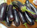 寿光农家紫茄子紫茄新鲜现摘生鲜超市蔬菜烧烤搭档 五斤绿把茄子 5斤 实拍图