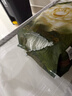 丝塔芙舒润保湿大白罐550g两只装不含烟酰胺补水身体乳杨幂同款敏肌 实拍图