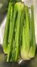 京鲜生山东新鲜大西芹净重4.5斤榨汁现挖芹菜鲜嫩蔬菜 去半叶源头直发 实拍图