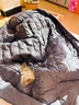 雪中飞经典新款基础舒适轻薄羽绒便捷短款保暖羽绒小马甲轻盈便携舒适 朱墨灰|8C83-男 4XL 190/108A 实拍图