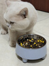 HELLOJOY不锈钢宠物食盆狗碗猫狗碗食盆水粮两用宠物碗喂食器 灰色 实拍图