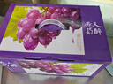 京鲜生 蓝宝石葡萄 金手指无籽黑提 4-4.5斤 礼盒装 生鲜水果 易掉粒 实拍图