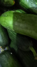 京喜加新鲜无刺水果小黄瓜小青瓜脆甜荷兰脆嫩生吃黄瓜蔬菜 水果黄瓜 3斤 带箱 实拍图