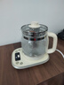 小熊（Bear）养生壶 1.5L煮茶壶烧水壶 可拆卸茶篮 煮茶器电水壶 恒温电热水壶 保温花茶壶 YSH-E15W7  实拍图