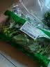 芥兰苗250g(长度≤15cm) 实拍图