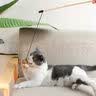 疯狂的主人猫咪玩具智能逗猫球自嗨解闷动自动避障引力球消耗体力滚滚球 实拍图