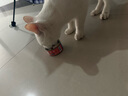 馋小汪猫罐头猫咪零食主食罐成幼猫营养湿粮鸡肉丝高汤罐85克整箱猫零食 六口味混合畅享装 24罐【囤货超值装】 实拍图