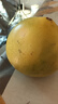 福建平和老树红柚 新鲜现摘 皮薄肉厚多汁 蜜柚柚子 1-1.5斤（尝鲜） 实拍图