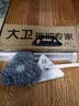 大卫平板拖把替换布超细纤维拖布头替换布  请咨询客服确认型号后下单 三角布1个+梯形布1个 适配P21 实拍图