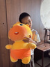 轩岛正版水豚噜噜玩偶抱枕大号陪睡公仔毛绒玩具生日情人节礼物送女生 正版水豚噜噜【呆呆45CM】送娃衣 卡皮巴拉送男生朋友新年礼物官方多爱小众高级 实拍图