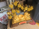 匠驴貔貅聚宝盆发财树摆件乔迁开业礼物客厅酒柜店铺收银台装饰工艺品 【京仓直发】中号 长39宽14.5高35厘米 实拍图