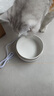 智宙 猫咪恒温水碗陶瓷饮水机加热温水猫碗盆宠物用品狗狗小猫酸奶机 实拍图