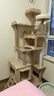 唐米吉吉加粗大型猫爬架猫窝猫树一体太空舱猫架子小户型不占地剑麻猫玩具 【175cm九层双猫箱】肥猫可用 实拍图