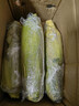 京鲜生云南水果玉米 净重5斤单果280g+ 甜玉米棒新鲜蔬菜应季 源头直发 实拍图