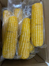 京鲜生 东北黄玉米260g*10棒 真空包装黏玉米棒粘玉米 源头直发 实拍图